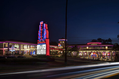 Image Not Found On Media Library