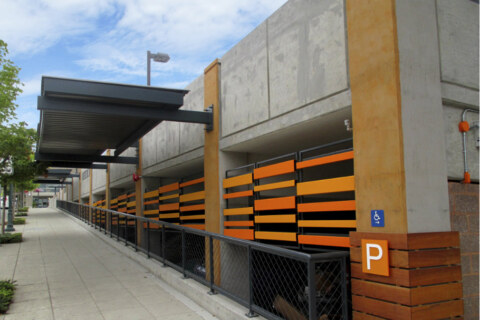 Image Not Found On Media Library