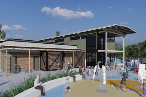 Image Not Found On Media Library