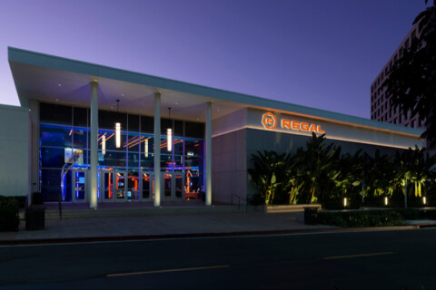 Image Not Found On Media Library