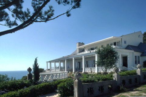 Image Not Found On Media Library