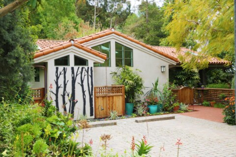 Image Not Found On Media Library